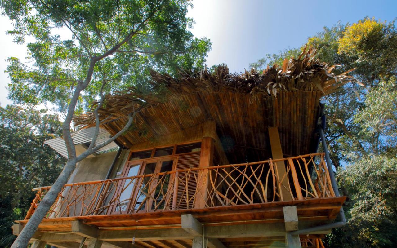 Bed and Breakfast The Winsome & Tree House Элла Экстерьер фото